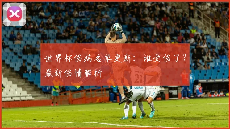 世界杯伤病名单更新：谁受伤了？最新伤情解析
